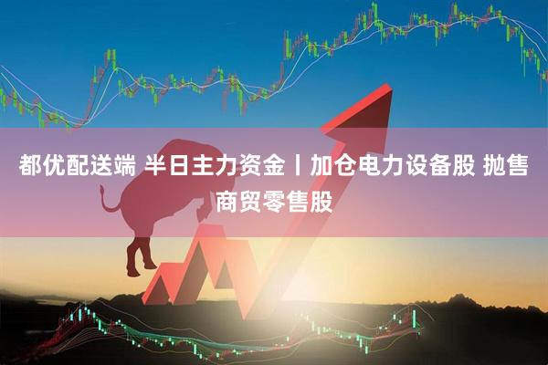 都优配送端 半日主力资金丨加仓电力设备股 抛售商贸零售股